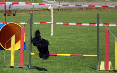 Concours externes 2016