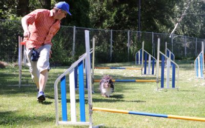 Agility, obstacle et conduite